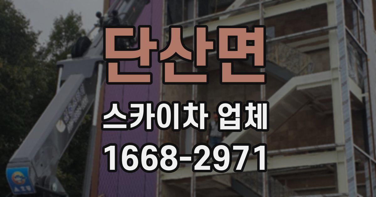 단산면 스카이차 업체