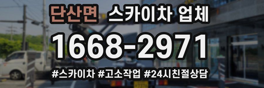 단산면 스카이차 업체