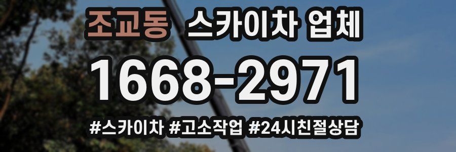 조교동 스카이차 업체