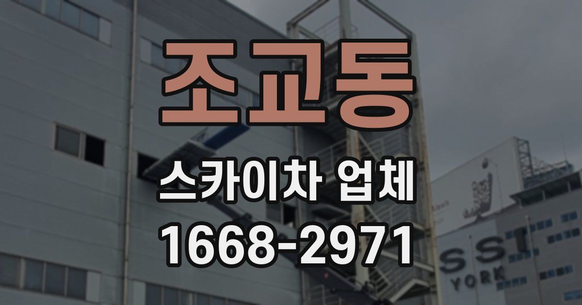 조교동 스카이차 업체