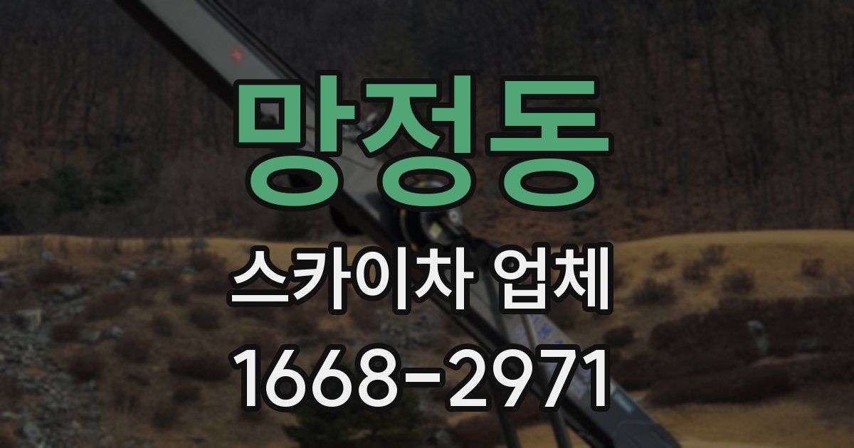 망정동 스카이차 업체