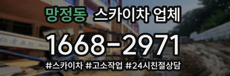 망정동 스카이차 업체