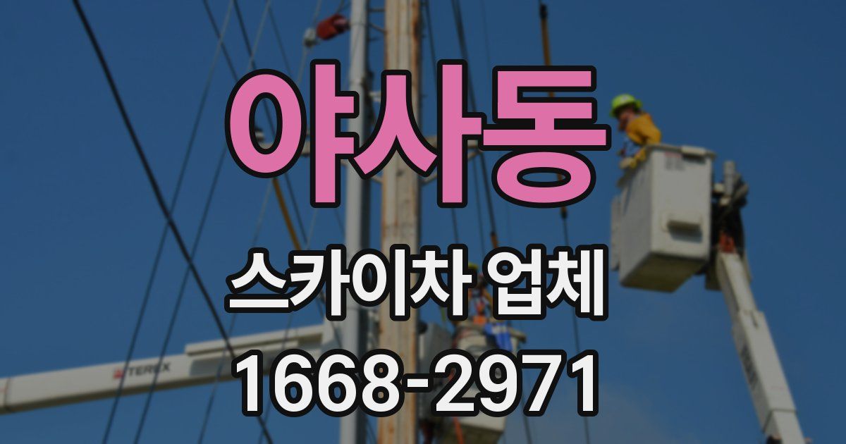 야사동 스카이차 업체