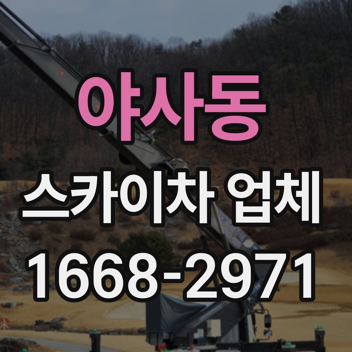 야사동 스카이차 업체