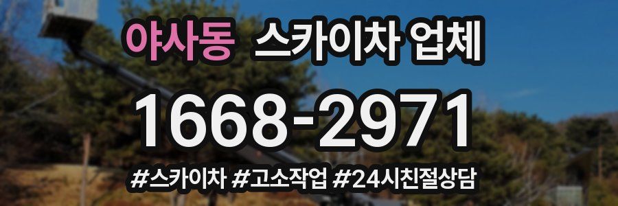 야사동 스카이차 업체