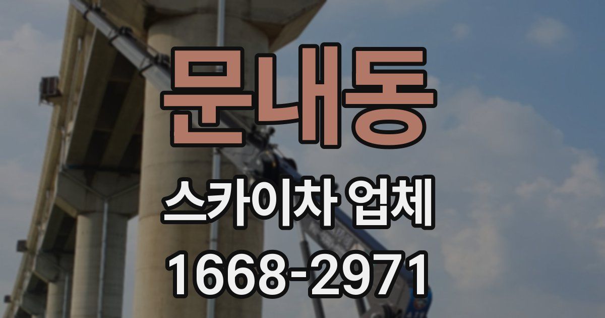 문내동 스카이차 업체