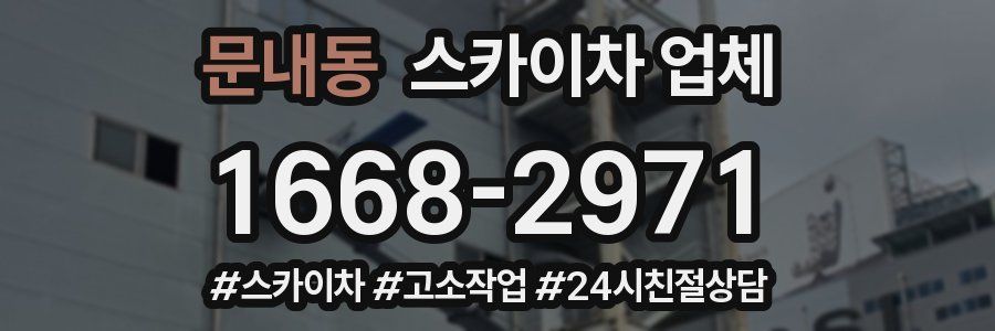 문내동 스카이차 업체