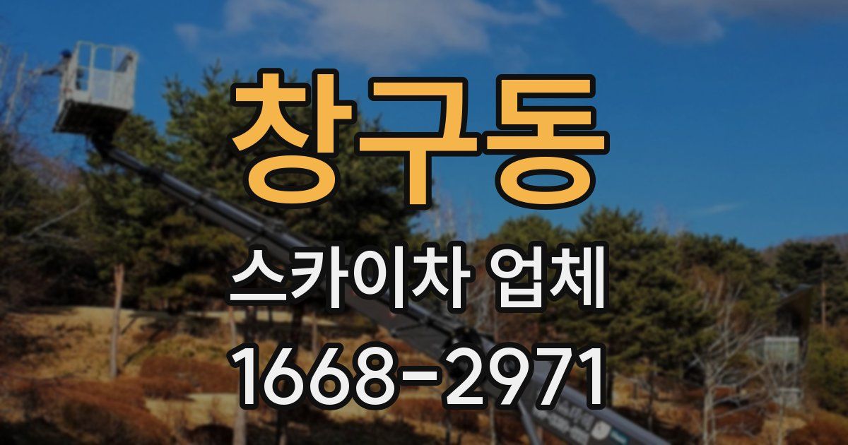 창구동 스카이차 업체