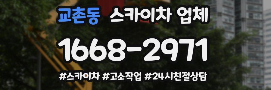 교촌동 스카이차 업체