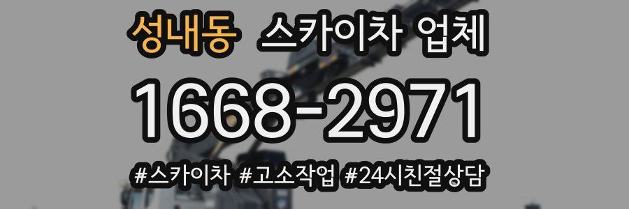 성내동 스카이차 업체