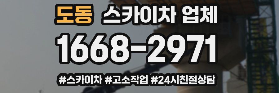 도동 스카이차 업체