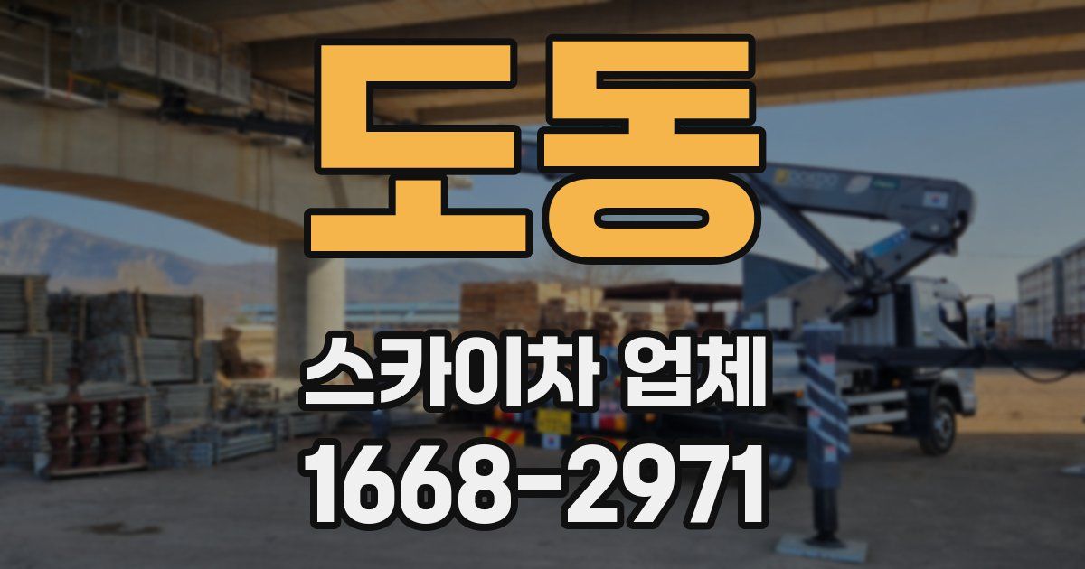 도동 스카이차 업체
