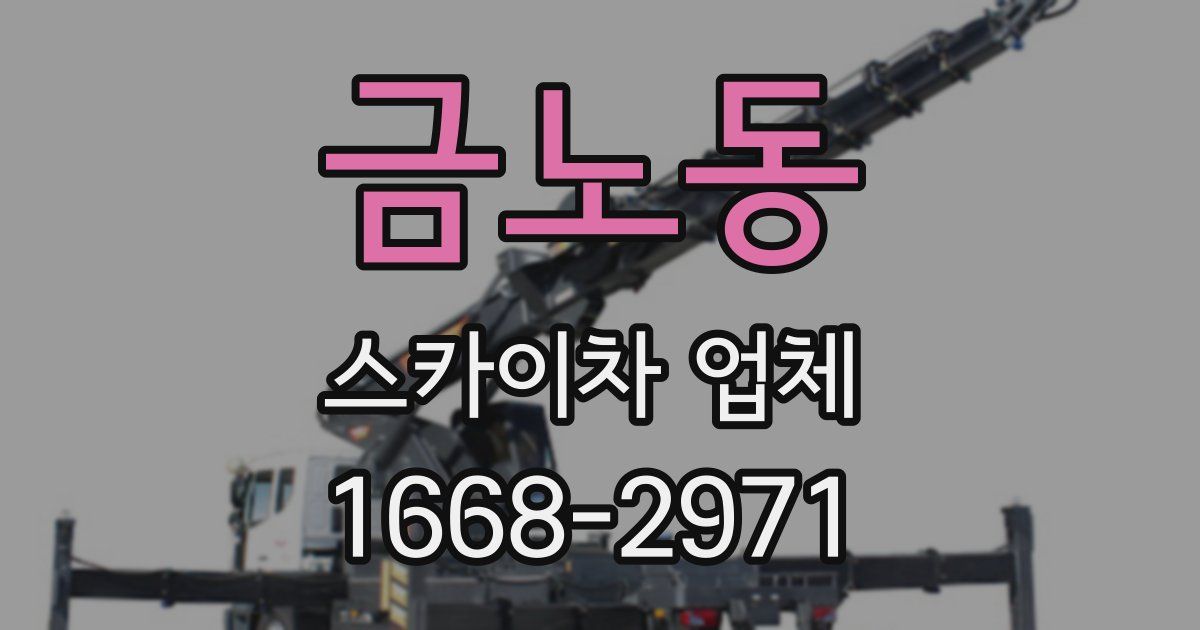 금노동 스카이차 업체