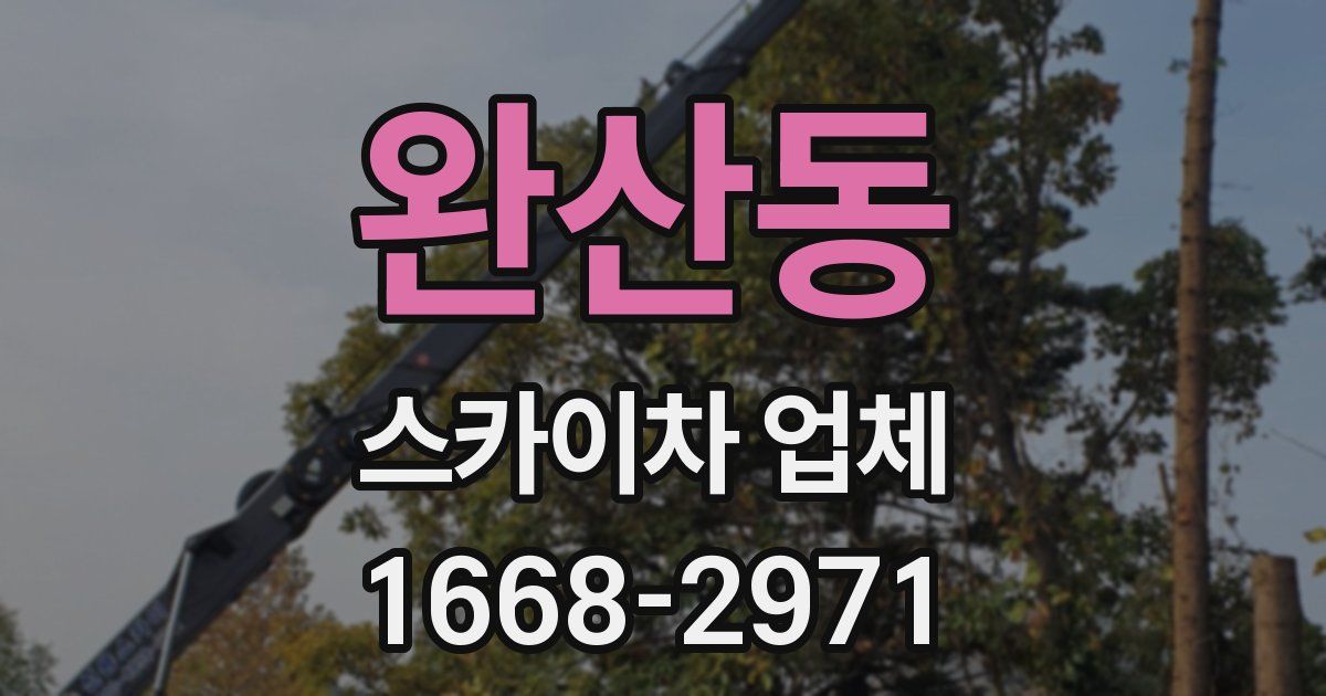 완산동 스카이차 업체