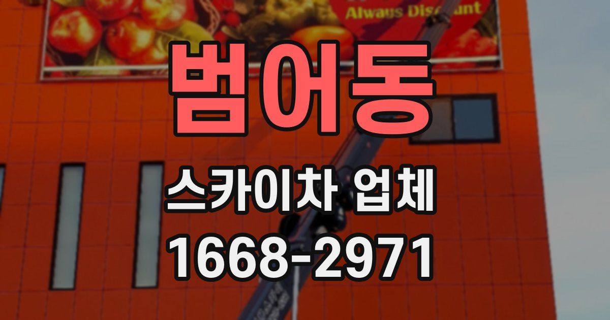 범어동 스카이차 업체