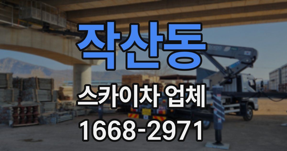 작산동 스카이차 업체