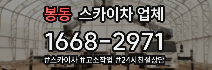 봉동 스카이차 업체