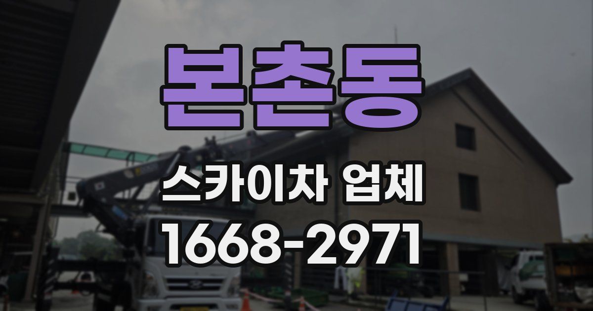 본촌동 스카이차 업체