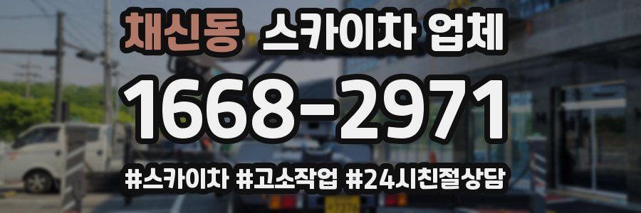채신동 스카이차 업체