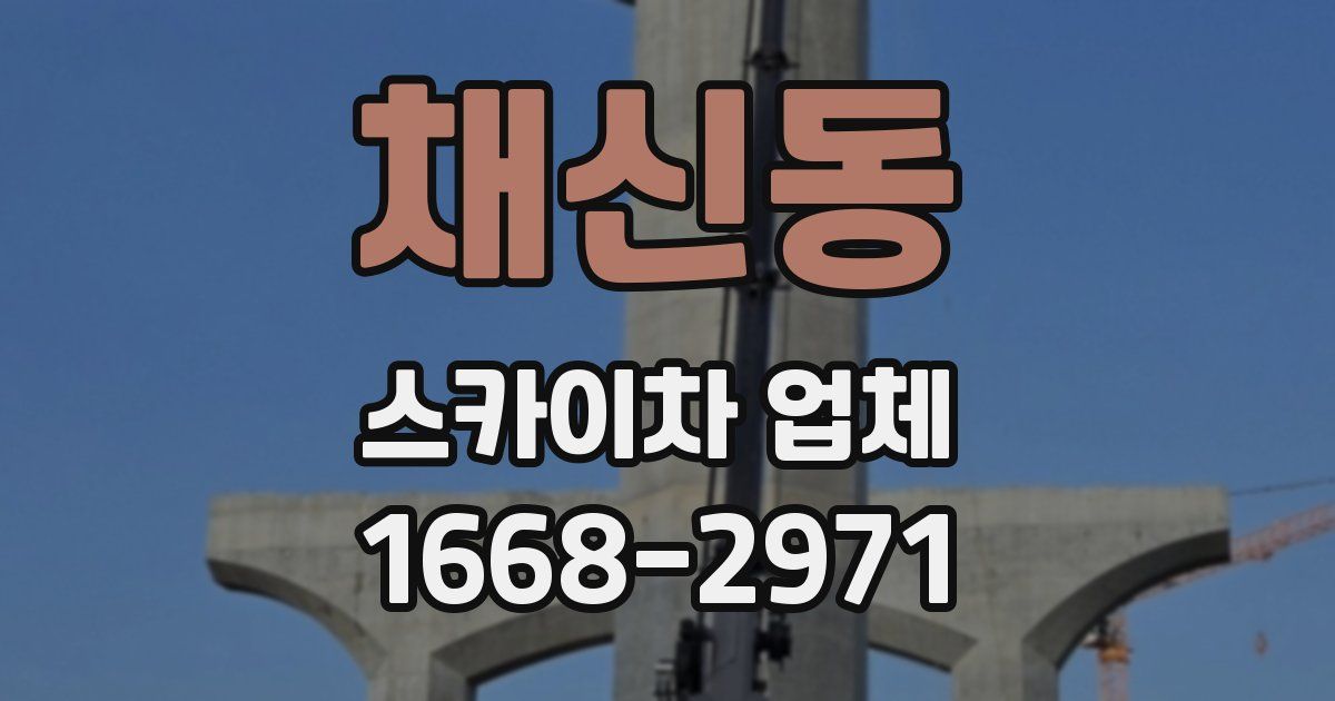 채신동 스카이차 업체