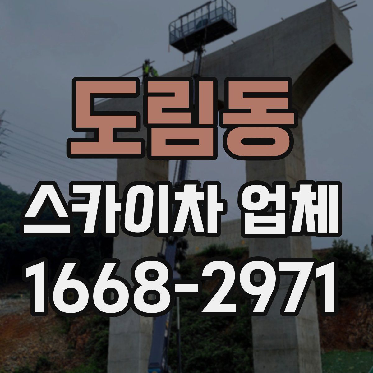 도림동 스카이차 업체