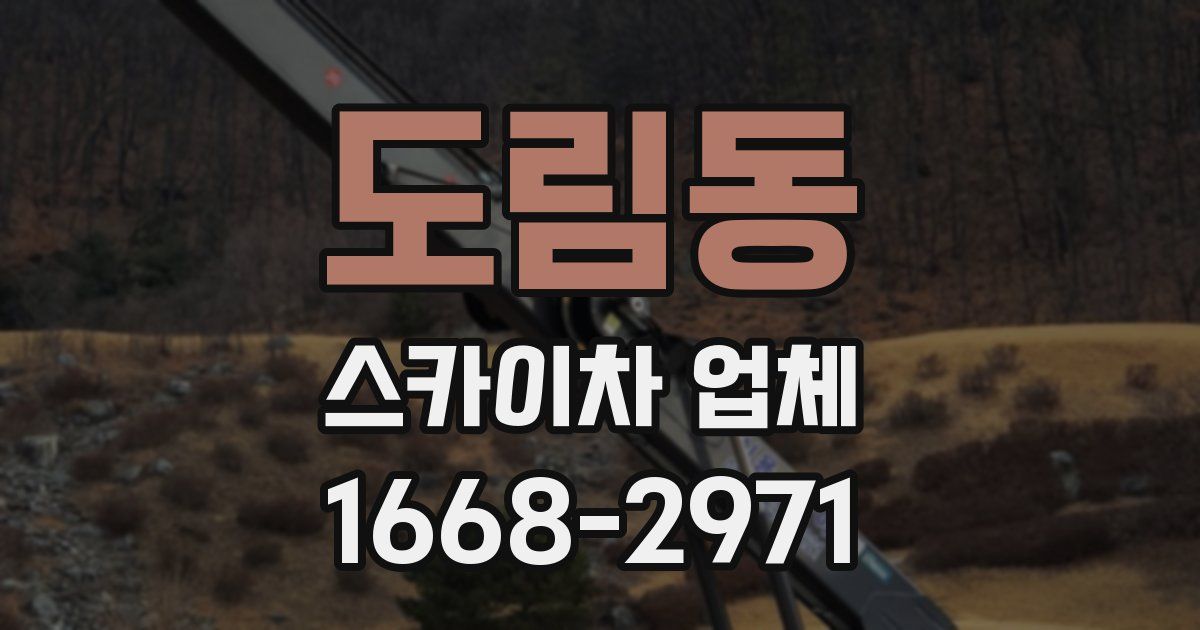 도림동 스카이차 업체