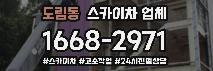 도림동 스카이차 업체