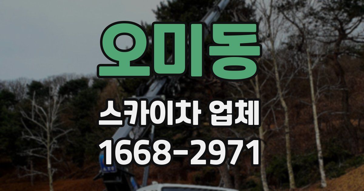 오미동 스카이차 업체