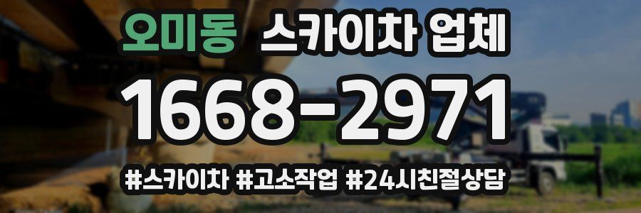 오미동 스카이차 업체