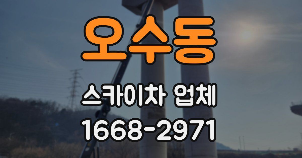 오수동 스카이차 업체