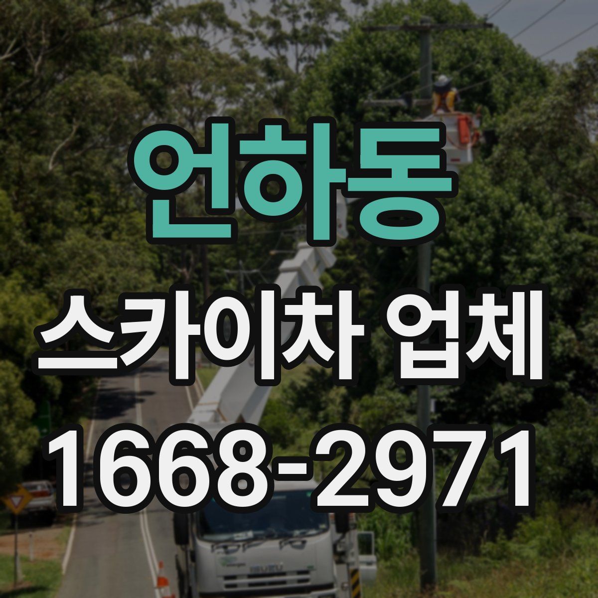 언하동 스카이차 업체