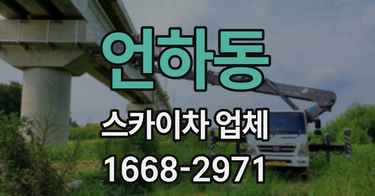 언하동 스카이차 업체