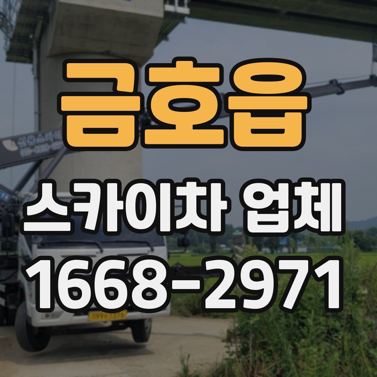 금호읍 스카이차 업체