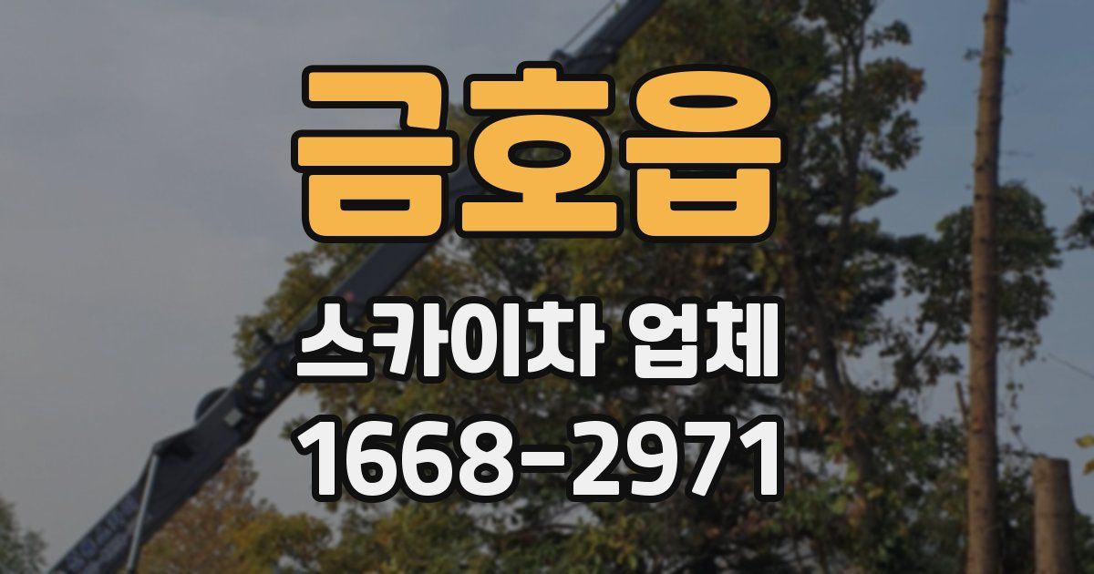 금호읍 스카이차 업체