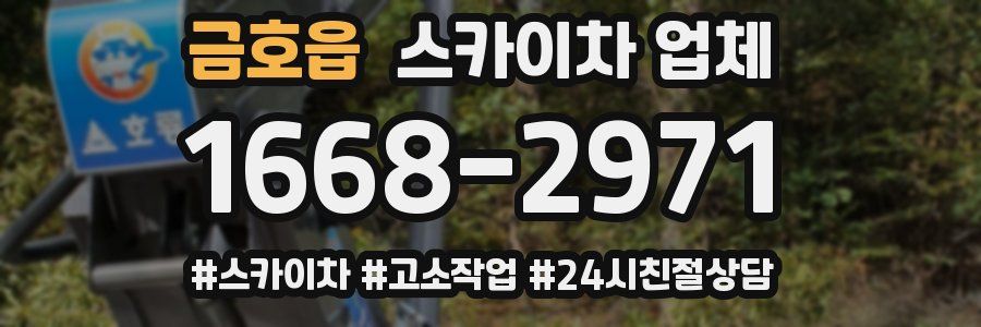 금호읍 스카이차 업체