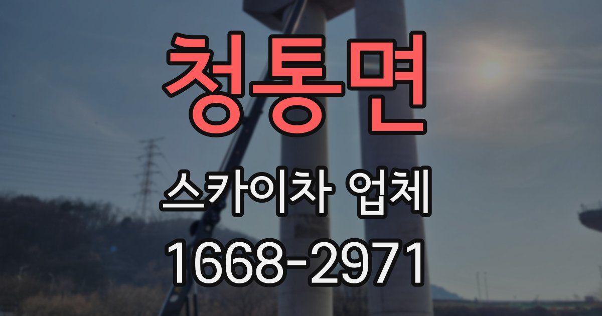 청통면 스카이차 업체