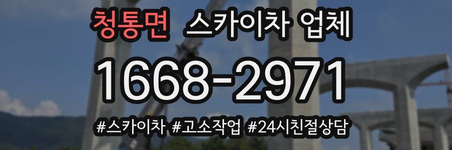 청통면 스카이차 업체