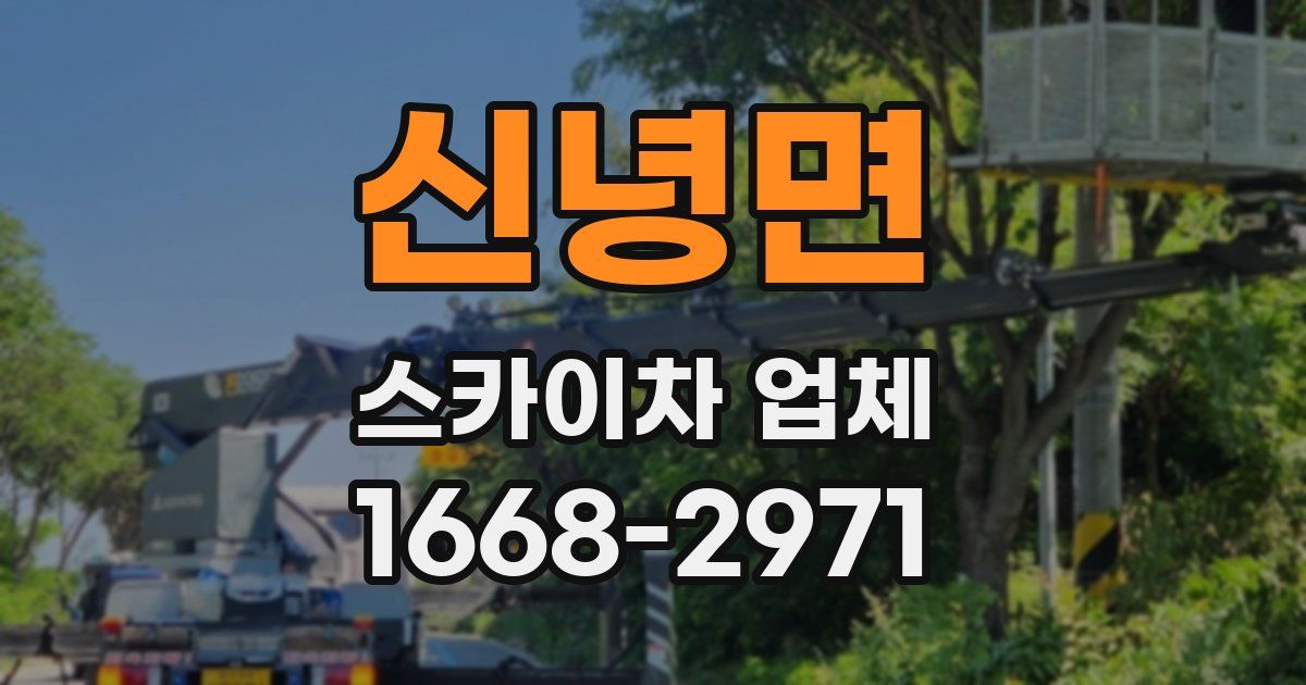 신녕면 스카이차 업체