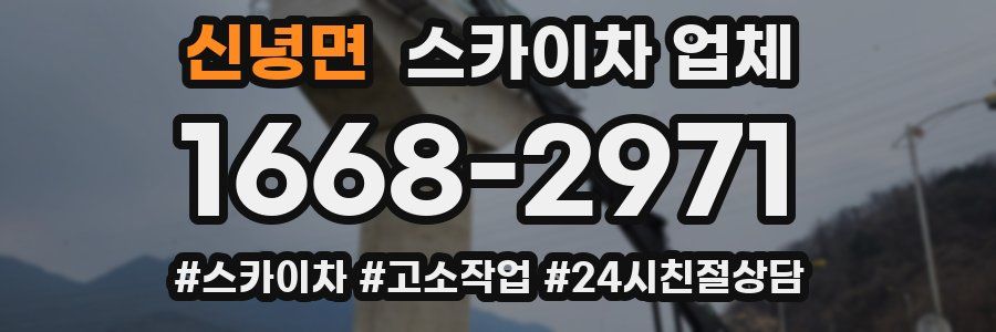 신녕면 스카이차 업체