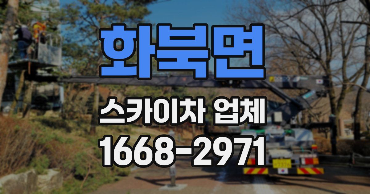 화북면 스카이차 업체