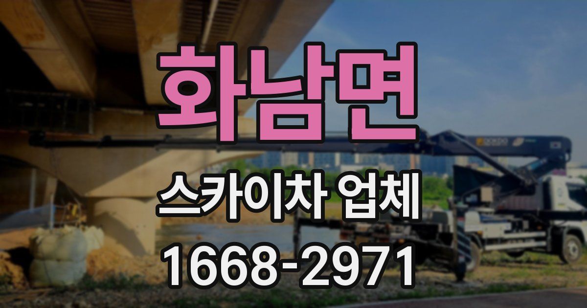 화남면 스카이차 업체