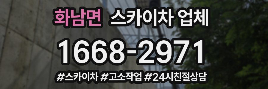 화남면 스카이차 업체