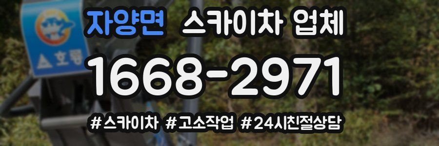 자양면 스카이차 업체