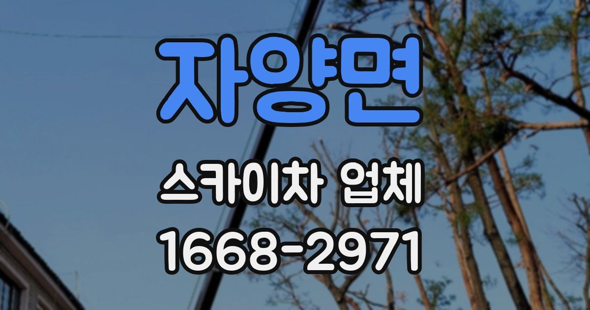 자양면 스카이차 업체