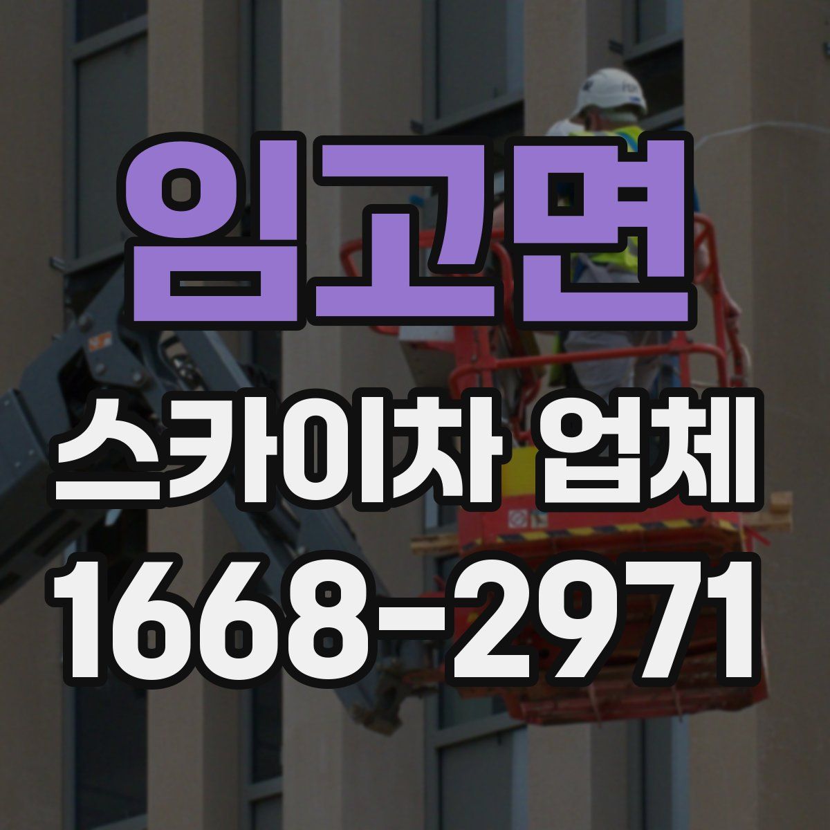 임고면 스카이차 업체