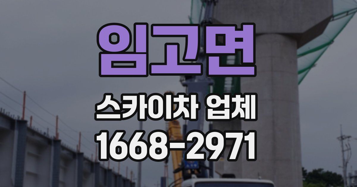 임고면 스카이차 업체
