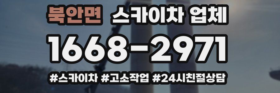 북안면 스카이차 업체