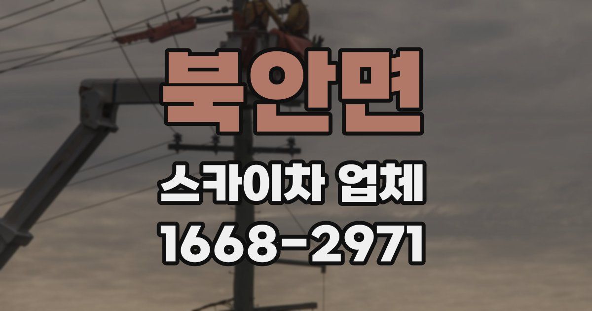 북안면 스카이차 업체