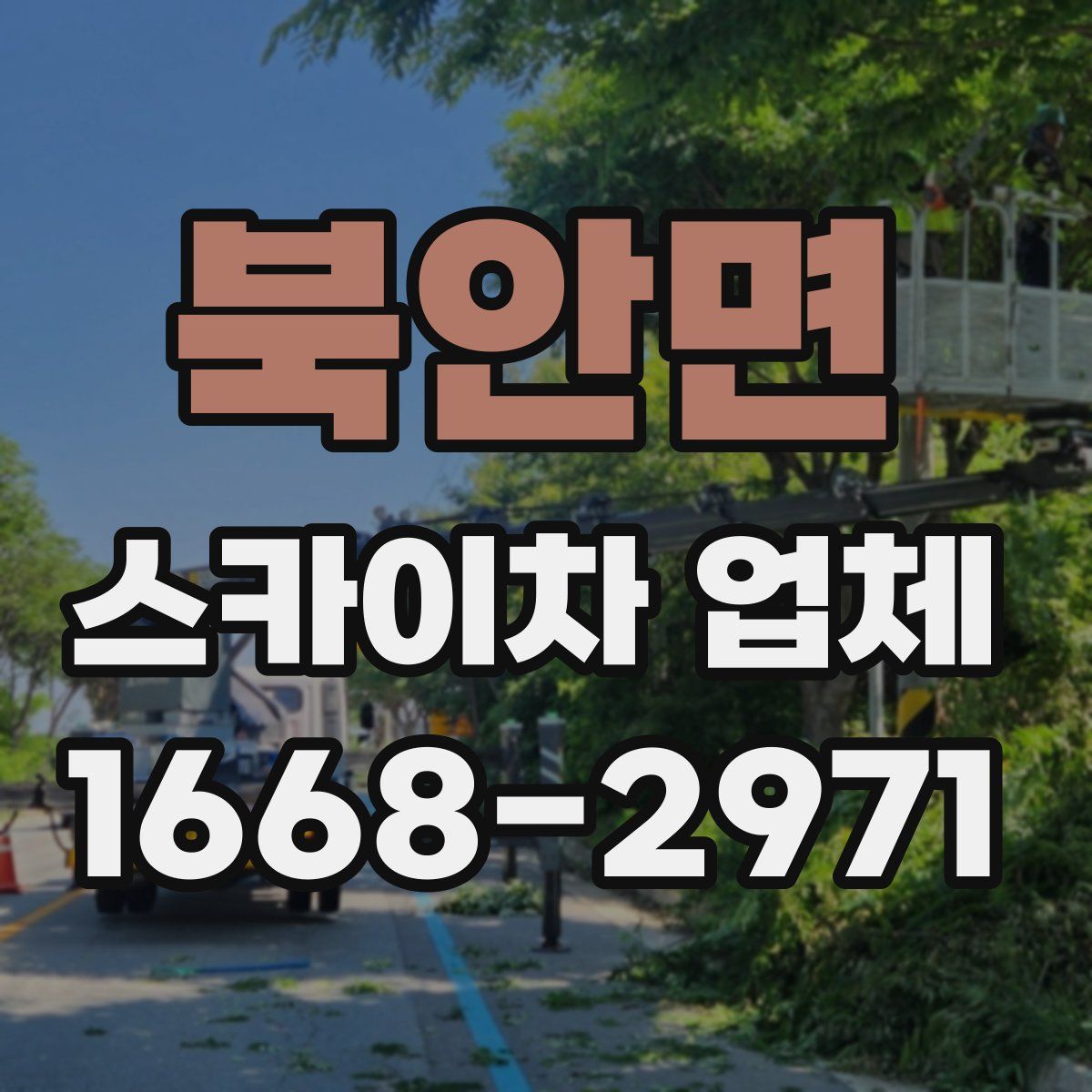북안면 스카이차 업체