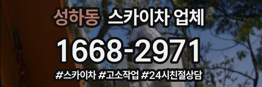 성하동 스카이차 업체